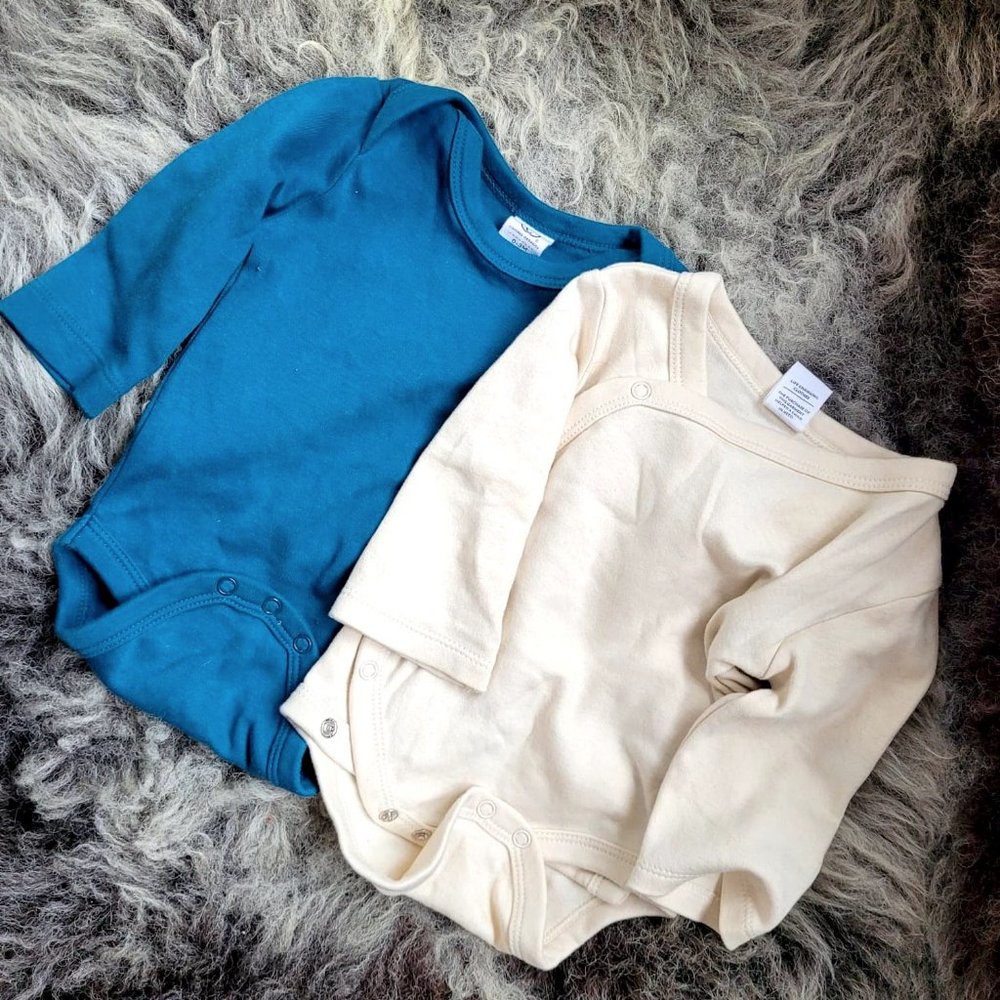 2 x Organic Baby Onesie by Colored Organics 0 to 3 months
